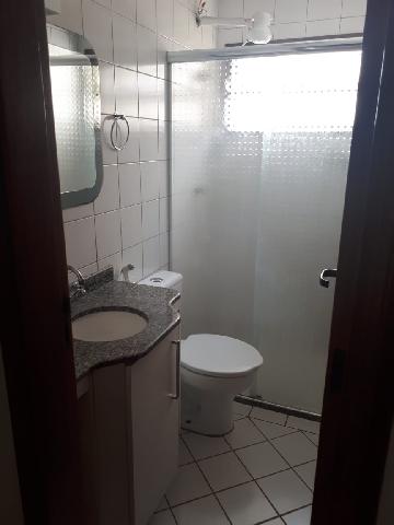 imagem 5 - Apartamentos - Padrão imagem 5 - Apartamentos - Padrão