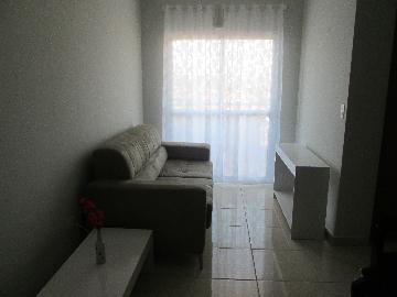 imagem 1 - Apartamentos - Padrão imagem 1 - Apartamentos - Padrão