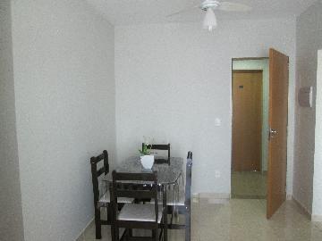 imagem 5 - Apartamentos - Padrão imagem 5 - Apartamentos - Padrão