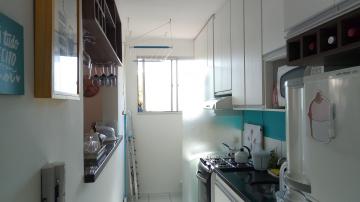 imagem 5 - Apartamentos - Padrão imagem 5 - Apartamentos - Padrão