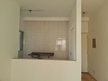 imagem 5 - Apartamentos - Padrão imagem 5 - Apartamentos - Padrão