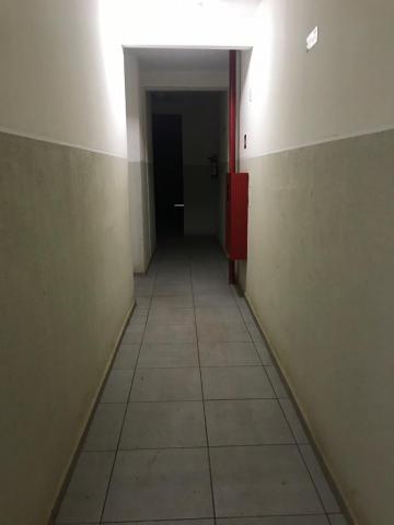 imagem 4 - Apartamentos - Padrão imagem 4 - Apartamentos - Padrão