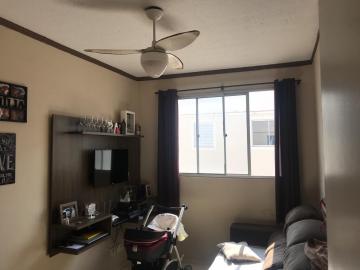 imagem 5 - Apartamentos - Padrão imagem 5 - Apartamentos - Padrão