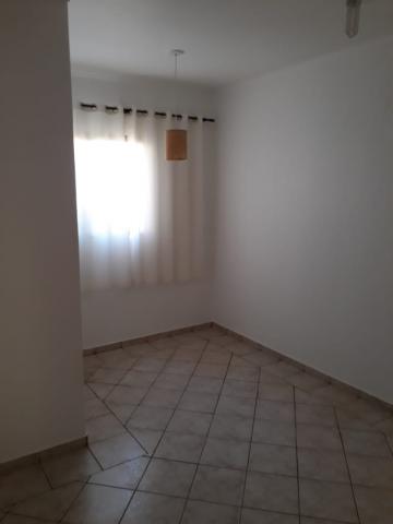 imagem 2 - Apartamentos - Padrão imagem 2 - Apartamentos - Padrão