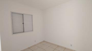 imagem 5 - Apartamentos - Padrão imagem 5 - Apartamentos - Padrão