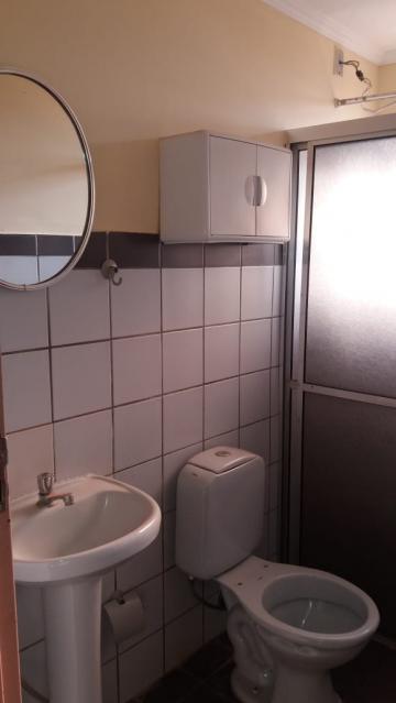 imagem 3 - Apartamentos - Padrão imagem 3 - Apartamentos - Padrão