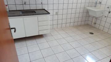 imagem 5 - Apartamento com 1 Dormitório no Bairro Jardim Palma Travassos em Ribeirão Preto imagem 5 - Apartamento com 1 Dormitório no Bairro Jardim Palma Travassos em Ribeirão Preto