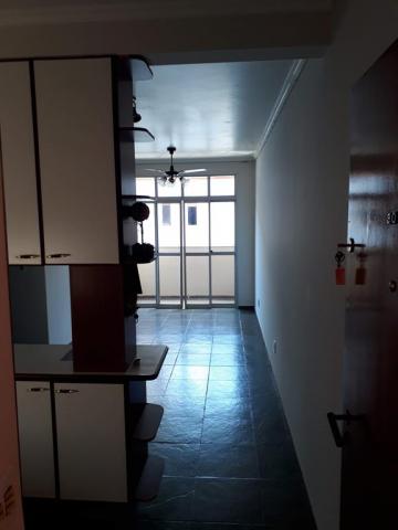 imagem 4 - Apartamentos - Padrão imagem 4 - Apartamentos - Padrão