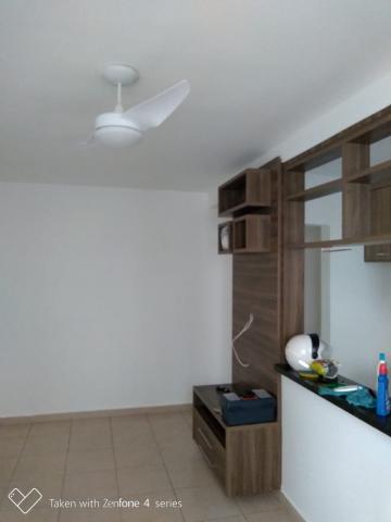 imagem 2 - Apartamentos - Padrão imagem 2 - Apartamentos - Padrão