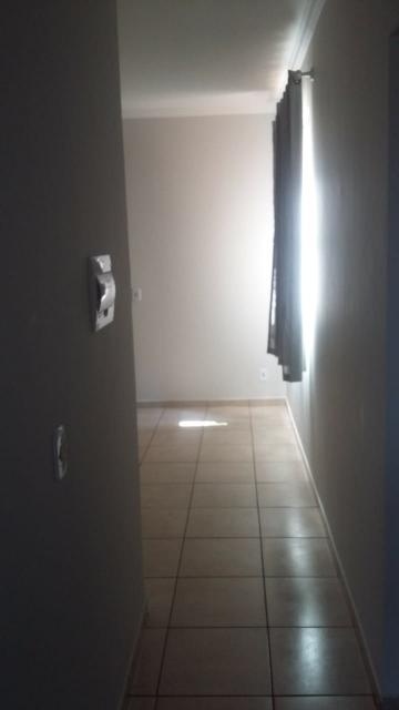 imagem 2 - Apartamentos - Padrão imagem 2 - Apartamentos - Padrão