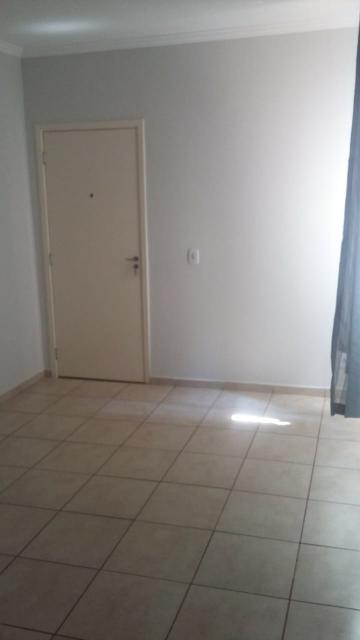 imagem 4 - Apartamentos - Padrão imagem 4 - Apartamentos - Padrão