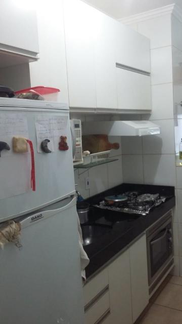 imagem 1 - Apartamentos - Padrão imagem 1 - Apartamentos - Padrão