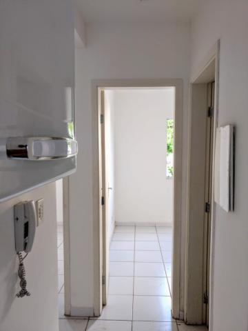 imagem 5 - Apartamentos - Padrão imagem 5 - Apartamentos - Padrão