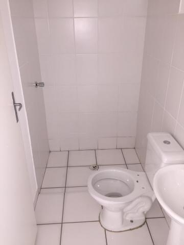 imagem 4 - Apartamentos - Padrão imagem 4 - Apartamentos - Padrão