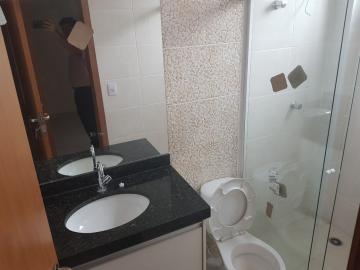 imagem 5 - Apartamentos - Padrão imagem 5 - Apartamentos - Padrão