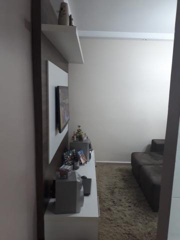 imagem 4 - Apartamentos - Padrão imagem 4 - Apartamentos - Padrão