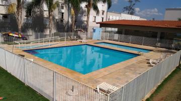 imagem 5 - Apartamentos - Padrão imagem 5 - Apartamentos - Padrão