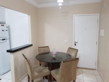 imagem 3 - Apartamentos - Padrão imagem 3 - Apartamentos - Padrão