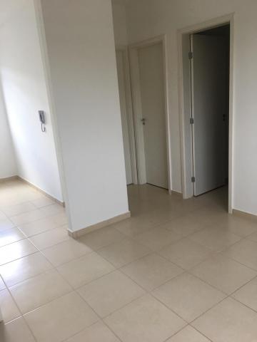 imagem 5 - Apartamentos - Padrão imagem 5 - Apartamentos - Padrão