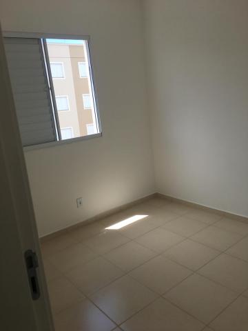 imagem 4 - Apartamentos - Padrão imagem 4 - Apartamentos - Padrão