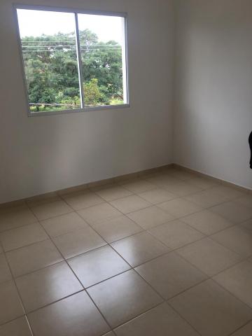imagem 3 - Apartamentos - Padrão imagem 3 - Apartamentos - Padrão