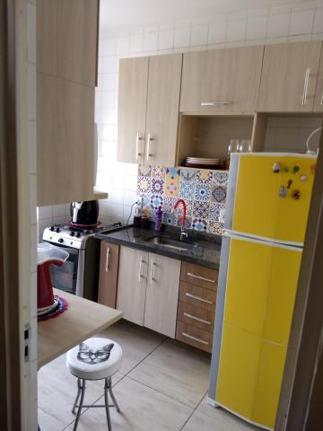 imagem 3 - Apartamentos - Padrão imagem 3 - Apartamentos - Padrão