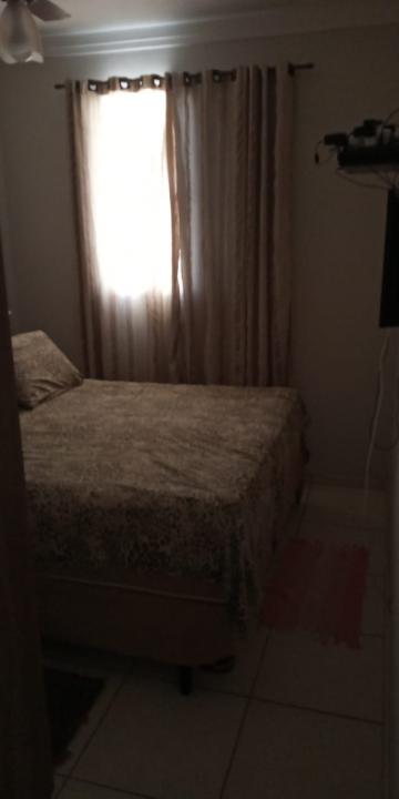 imagem 3 - Apartamentos - Padrão imagem 3 - Apartamentos - Padrão