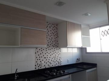 imagem 3 - Apartamentos - Padrão imagem 3 - Apartamentos - Padrão