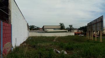 imagem 3 - Terreno misto paraVenda no Bairro Jardim Califórnia em Ribeirão Preto/SP. imagem 3 - Terreno misto paraVenda no Bairro Jardim Califórnia em Ribeirão Preto/SP.