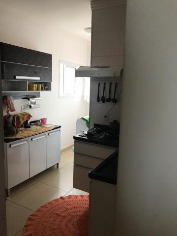 imagem 5 - Apartamentos - Padrão imagem 5 - Apartamentos - Padrão