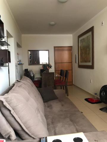 imagem 3 - Apartamentos - Padrão imagem 3 - Apartamentos - Padrão
