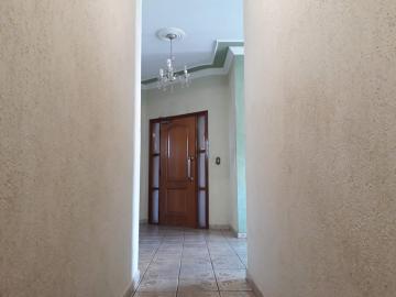 imagem 2 - Casas Residenciais - Padrão imagem 2 - Casas Residenciais - Padrão