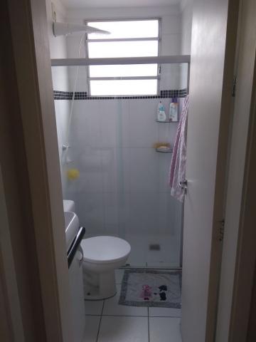 imagem 3 - Apartamentos - Padrão imagem 3 - Apartamentos - Padrão