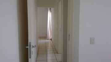imagem 4 - Apartamentos - Padrão imagem 4 - Apartamentos - Padrão