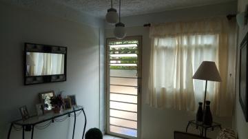 imagem 5 - Apartamentos - Padrão imagem 5 - Apartamentos - Padrão