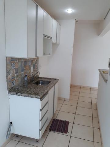 imagem 5 - Apartamentos - Padrão imagem 5 - Apartamentos - Padrão