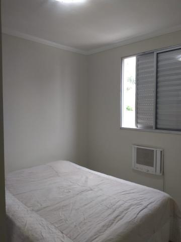 imagem 3 - Apartamentos - Padrão imagem 3 - Apartamentos - Padrão