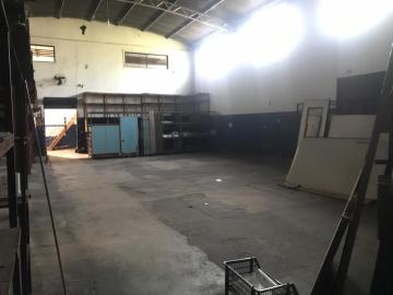 Alugar Comercial / Salão comercial em Ribeirão Preto R$ 5.000,00 - Foto 1 Alugar Comercial / Salão comercial em Ribeirão Preto R$ 5.000,00 - Foto 1