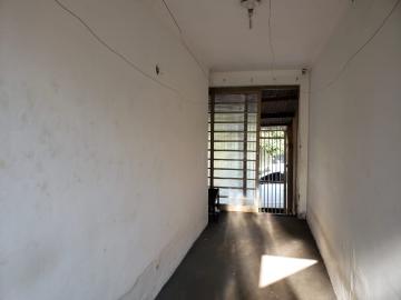 Alugar Casas / Padrão em Ribeirão Preto R$ 700,00 - Foto 13 Alugar Casas / Padrão em Ribeirão Preto R$ 700,00 - Foto 13