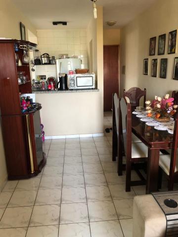 imagem 3 - Apartamentos - Padrão imagem 3 - Apartamentos - Padrão
