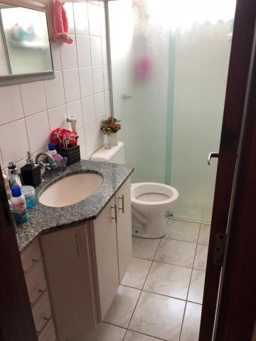 imagem 4 - Apartamentos - Padrão imagem 4 - Apartamentos - Padrão