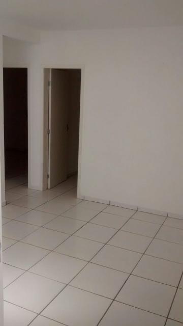 imagem 3 - Apartamentos - Padrão imagem 3 - Apartamentos - Padrão