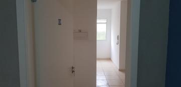 imagem 4 - Apartamentos - Padrão imagem 4 - Apartamentos - Padrão