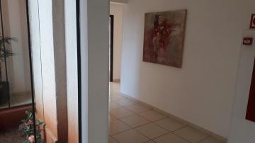 imagem 3 - Apartamentos - Padrão imagem 3 - Apartamentos - Padrão