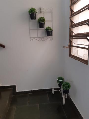 imagem 3 - Apartamentos - Padrão imagem 3 - Apartamentos - Padrão