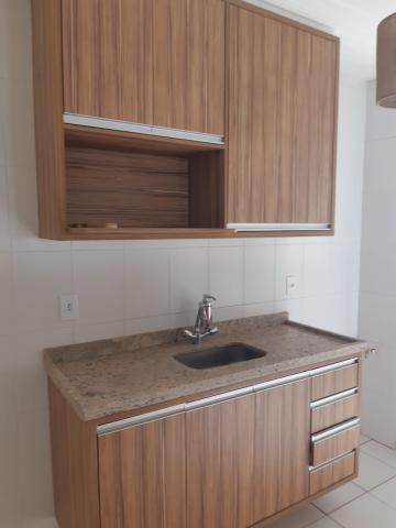 imagem 2 - Apartamentos - Padrão imagem 2 - Apartamentos - Padrão