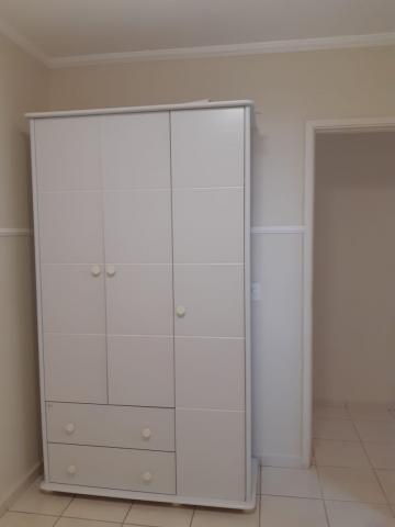 imagem 3 - Apartamentos - Padrão imagem 3 - Apartamentos - Padrão