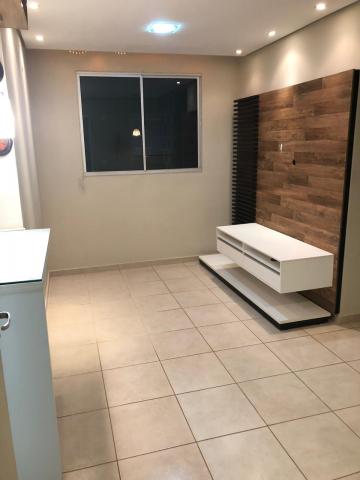 imagem 3 - Apartamentos - Padrão imagem 3 - Apartamentos - Padrão