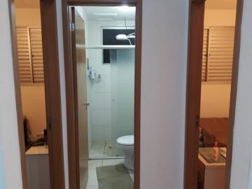 imagem 5 - Apartamentos - Padrão imagem 5 - Apartamentos - Padrão
