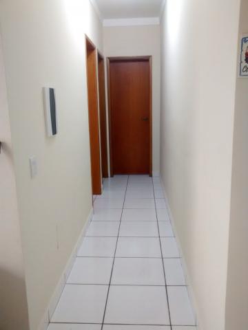 imagem 5 - Apartamentos - Padrão imagem 5 - Apartamentos - Padrão